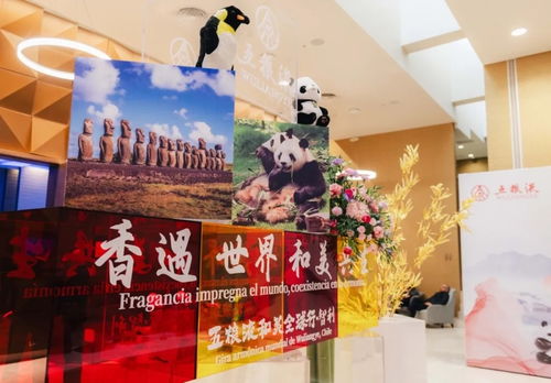 香 遇世界,五粮液和美全球行引领中国白酒 走出去 新征程